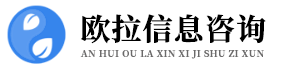 安徽欧拉信息技术咨询服务有限公司123